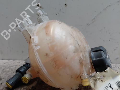 Used Expansion tank PEUGEOT EXPERT Van (V_) 2.0 BlueHDi 120 (122 hp) 29116493