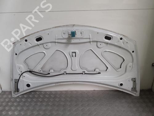 Hood RENAULT CLIO III (BR0/1, CR0/1) 1.2 16V Hi-Flex (BR1U, CR1U) | BP27387770C1 