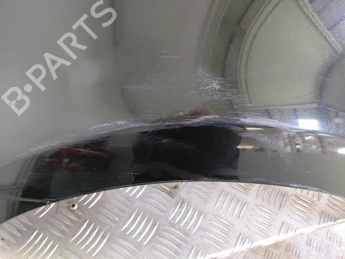 Left front fenders RENAULT CLIO III (BR0/1, CR0/1) 1.5 dCi (C/BR0G, C/BR1G) | BP29284078C41 