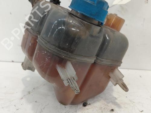 expansion-tank-lancia-ypsilon-312_-2011-38043256 main image