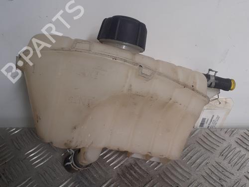 Ekpansionstank RENAULT KANGOO Express (FW0/1_) 1.5 dCi 95 (FW16) (95 hp) 28020979