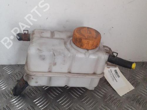 Used Expansion tank CHEVROLET AVEO / KALOS Hatchback (T250, T255) 1.2 (84 hp) 24759961
