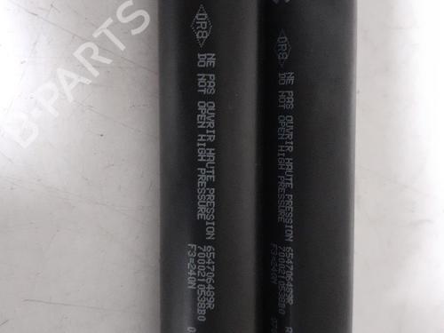 Hood lift support RENAULT KANGOO / GRAND KANGOO II (KW0/1_) 1.2 TCe 115 (KW02, KW14) | BP28067295C139 