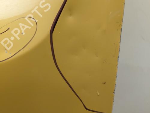 Left front door RENAULT KANGOO Express (FW0/1_) 1.5 dCi 95 (FW16) | BP32423861C2