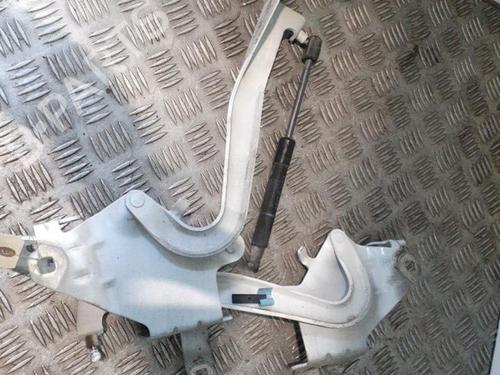 Used Hinge/Door check strap RENAULT SCÉNIC III (JZ0/1_) 1.5 dCi (110 hp) 24747474