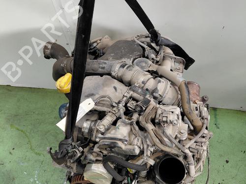 Engine RENAULT KANGOO Express (FW0/1_)  | BP35918506M1  - Image 6
