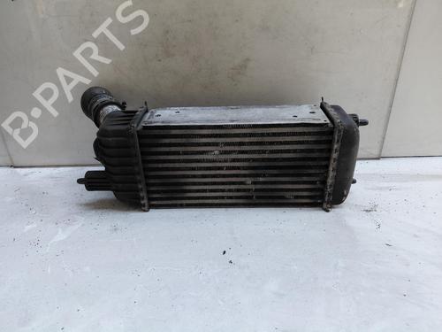 Used Intercooler Intercooler CITROËN JUMPY II Van 1.6 HDi 90 16V (90 hp) 39729111 39729111