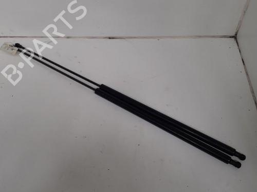Used Tailgate lift support SEAT TOLEDO III (5P2) 1.9 TDI (105 hp) 24741949