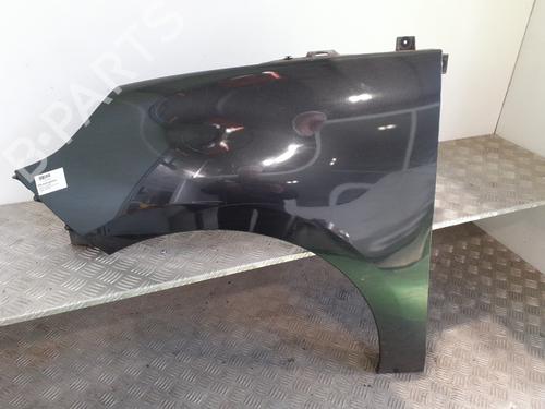 Left front fenders RENAULT SCÉNIC III (JZ0/1_) 1.9 dCi (JZ0J, JZ1J, JZ1K, JZ1S) | BP24744447C41 