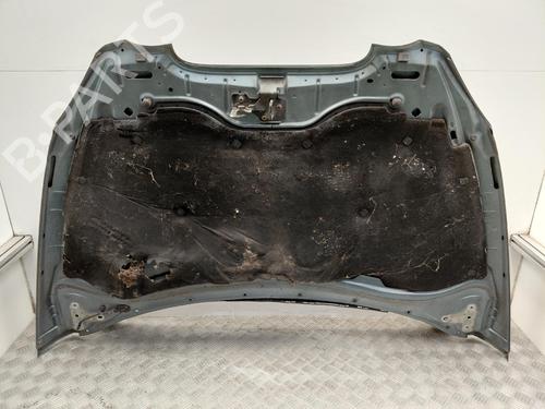 Used Hood Hood SEAT TOLEDO III (5P2) 1.9 TDI (105 hp) 40123224 40123224