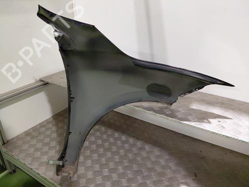 Left front fenders RENAULT MEGANE III Grandtour (KZ0/1) 1.5 dCi (KZ09, KZ0D, KZ1G, KZ29, KZ14, KZ1W, KZ10, KZ1F,... | BP29197424C41 
