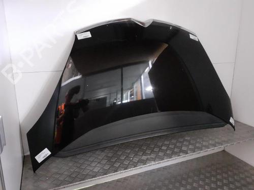 Hood CITROËN C4 Grand Picasso I (UA_) 1.6 HDi 110 | BP24761118C1 