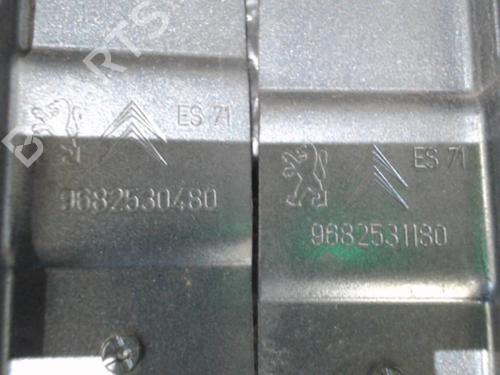 hingedoor-check-strap-citroen-c5-iii-break-rw_-2008-2009-2010-2011-2012-2013-2014-2015-2016-2017-24754569 main image