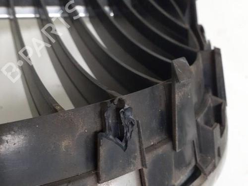 Grille SEAT TOLEDO III (5P2) 1.9 TDI | BP24741959C40 