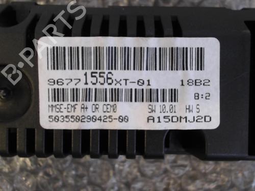 Used Display monitor Display monitor CITROËN C3 II (SC_) 1.4 HDi 70 (SC8HZC, SC8HR0, SC8HP4) (68 hp) 24764950 24764950