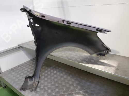 Left front fenders RENAULT CLIO III (BR0/1, CR0/1) 1.5 dCi (C/BR0G, C/BR1G) | BP27856194C41