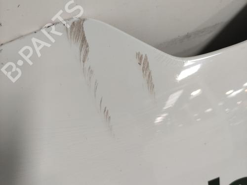 Hood RENAULT TWINGO III (BCM_, BCA_) 1.0 SCe 75 | BP25732358C1 