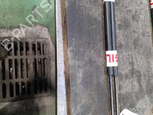 Used Tailgate lift support RENAULT SCÉNIC II (JM0/1_) 2.0 dCi (JM1K) (150 hp) 24747042