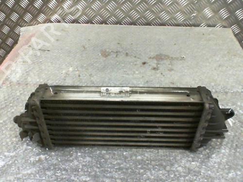 Used Intercooler Intercooler MINI MINI (R50, R53) One D (88 hp) 24755325 24755325