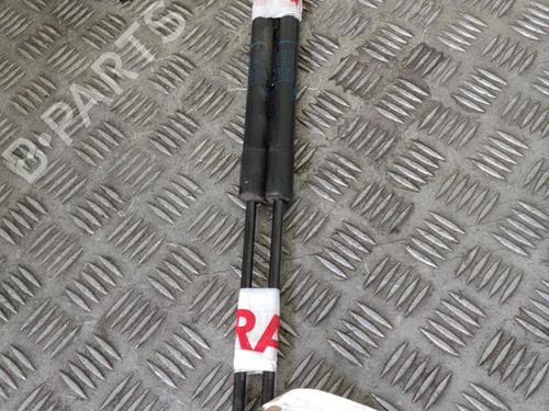 Used Tailgate lift support RENAULT MEGANE III Hatchback (BZ0/1_, B3_) 1.6 dCi (BZ00, BZ12, BZ13) (130 hp) 31211692
