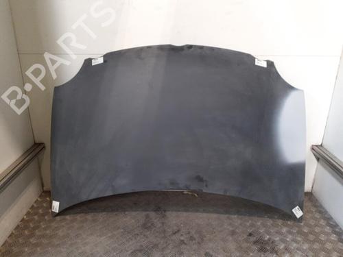 Used Hood VW POLO IV (9N_, 9A_) 1.9 SDI (64 hp) 24747392
