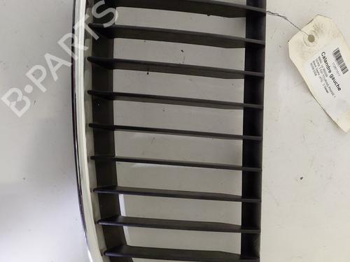 Used Grille BMW 3 Touring (E91) 320 d (177 hp) 30819492