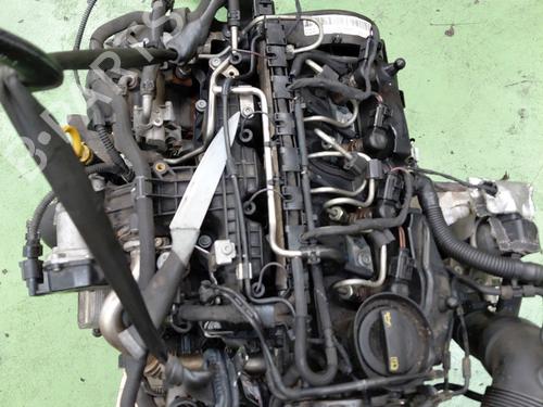 Engine SEAT IBIZA IV (6J5, 6P1) 1.6 TDI | BP29995822M1