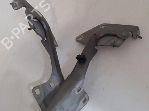 Used Hinge/Door check strap RENAULT MEGANE III Grandtour (KZ0/1) 1.5 dCi (KZ09, KZ0D, KZ1G, KZ29, KZ14, KZ1W, KZ10, KZ1F,... (110 hp) 24761420