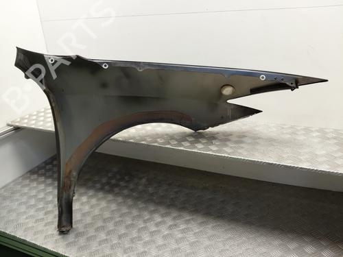 Left front fenders RENAULT LAGUNA Coupe (DT0/1) 2.0 dCi (DT01, DT08, DT09, DT0K, DT12, DT1C, DT1D, DT1M,... | BP26210212C41