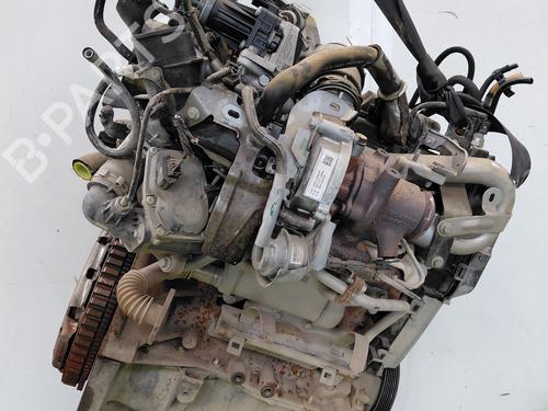 Engine RENAULT KANGOO Express (FW0/1_)  | BP34039339M1  - Image 5