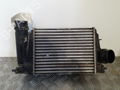 Used Intercooler NISSAN QASHQAI II SUV (J11, J11_) 1.3 DIG-T (140 hp) 24754067
