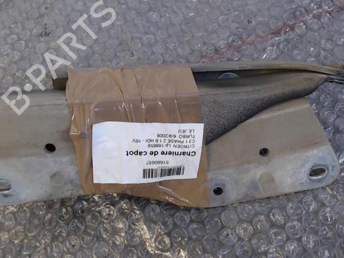 Used Hinge/Door check strap Hinge/Door check strap CITROËN C3 II (SC_) 1.6 HDi 90 (90 hp) 24764871 24764871