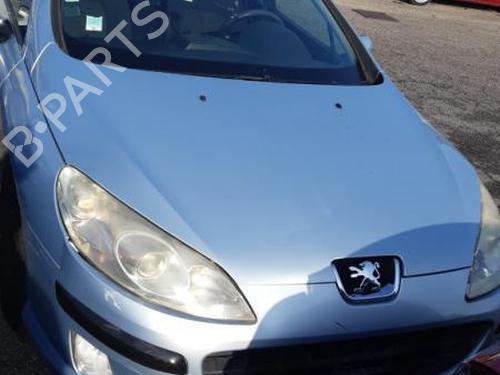 Left rear door PEUGEOT 407 SW (6E_, 6D_) 1.6 HDi 110 | BP24754760C4 