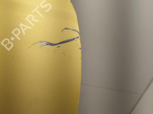 left-tailgate-renault-kangoo-express-fw01_-2008-33233424 main image