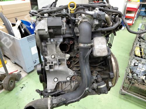 Engine SEAT IBIZA IV (6J5, 6P1) 1.6 TDI | BP29995822M1