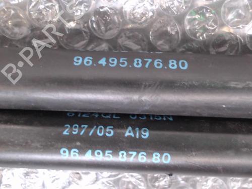 Used Tailgate lift support PEUGEOT 1007 (KM_) 1.4 (75 hp) 24744992