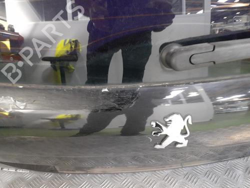 Tailgate PEUGEOT 207 (WA_, WC_) 1.6 HDi | BP26163642C6 