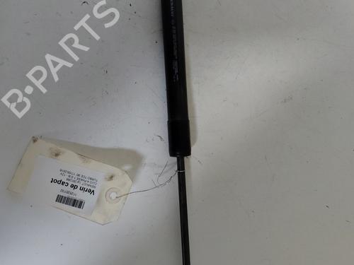 Used Hood lift support RENAULT CLIO IV (BH_) 0.9 TCe 90 (BHNF, BHMA, BHMH, BHJK, BHJR) (90 hp) 29197455