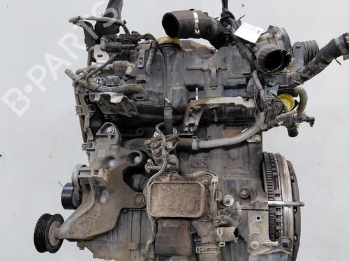 Engine RENAULT KANGOO Express (FW0/1_)  | BP33995408M1  - Image 5