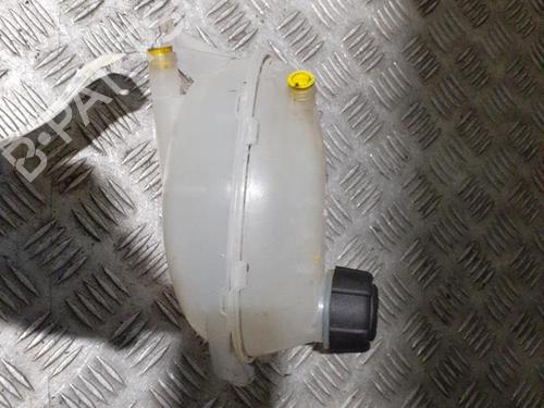 expansion-tank-dacia-lodgy-js_-2012-24756211 main image