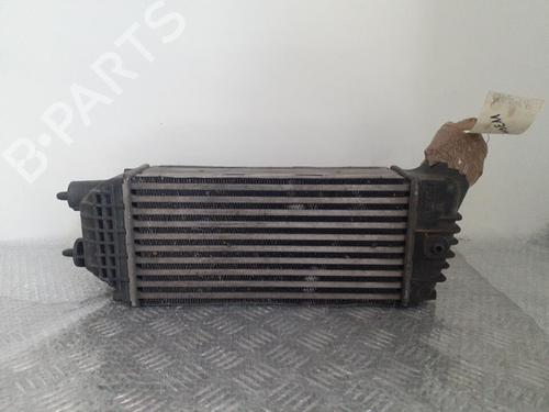 Intercooler Intercooler 24749611 24749611