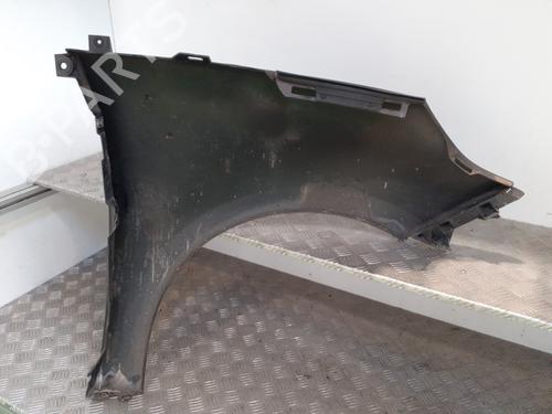 Left front fenders RENAULT SCÉNIC III (JZ0/1_) 1.9 dCi (JZ0J, JZ1J, JZ1K, JZ1S) | BP24744441C41 