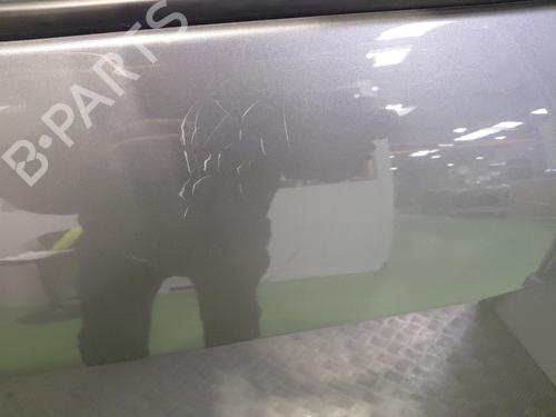 Left rear door RENAULT SCÉNIC III (JZ0/1_) 1.6 dCi (JZ00, JZ12) | BP27856128C4 