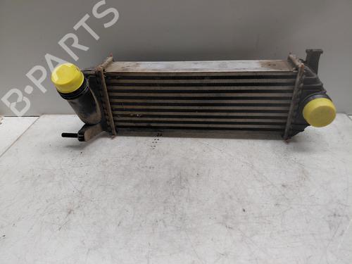 Used Intercooler Intercooler RENAULT KANGOO Express (FW0/1_) [2008-2026] 36284092 36284092
