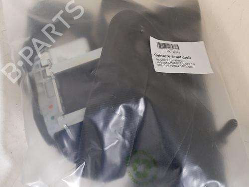 Used Front right belt tensioner RENAULT LAGUNA Coupe (DT0/1) 2.0 dCi (DT01, DT08, DT09, DT0K, DT12, DT1C, DT1D, DT1M,... (150 hp) 31214912