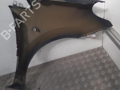 Left front fenders CITROËN C3 Pluriel (HB_) 1.4 HDi | BP24759815C41 