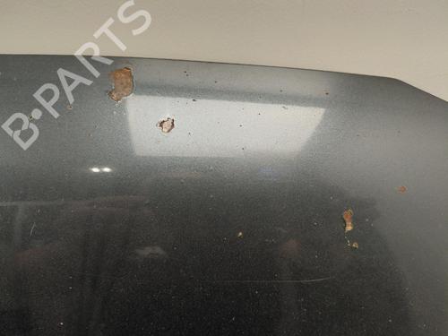 Used Hood Hood VW GOLF III (1H1) 1.9 TDI (110 hp) 36641230 36641230