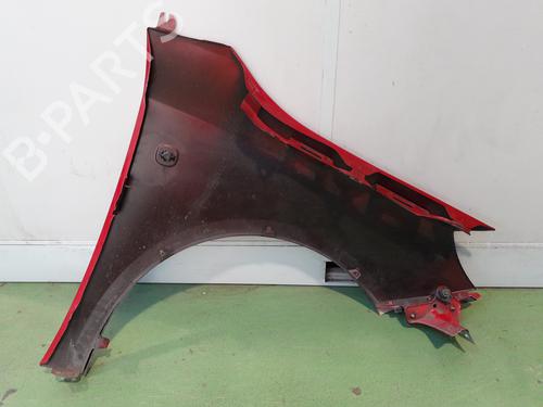 Left front fenders SKODA FABIA II (542) 1.6 TDI | BP24753829C41 