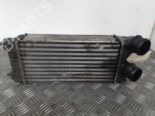 Used Intercooler Intercooler PEUGEOT 3008 I MPV (0U_) 1.6 HDi (112 hp) 24759087 24759087