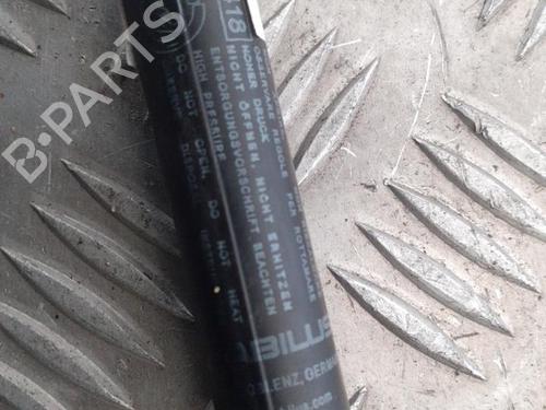 Ammortizzatore portellone posteriore FIAT GRANDE PUNTO (199_) 1.2 (65 hp) 24749829